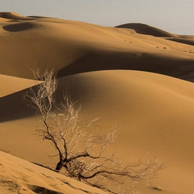 جاهای دیدنی کویر اصفهان