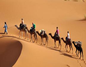 تور کویر مصر